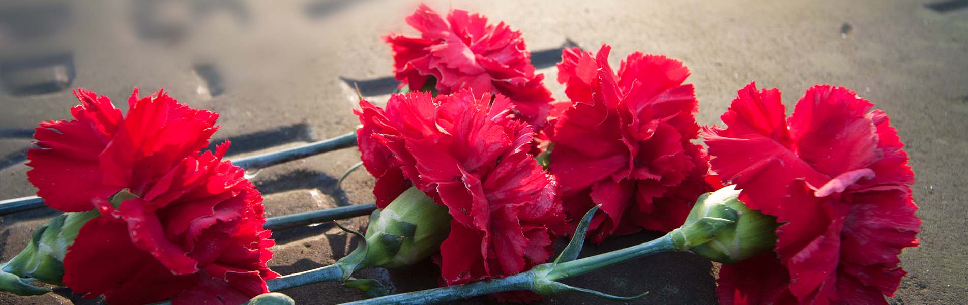 Flores rojas Espinosa de los Monteros